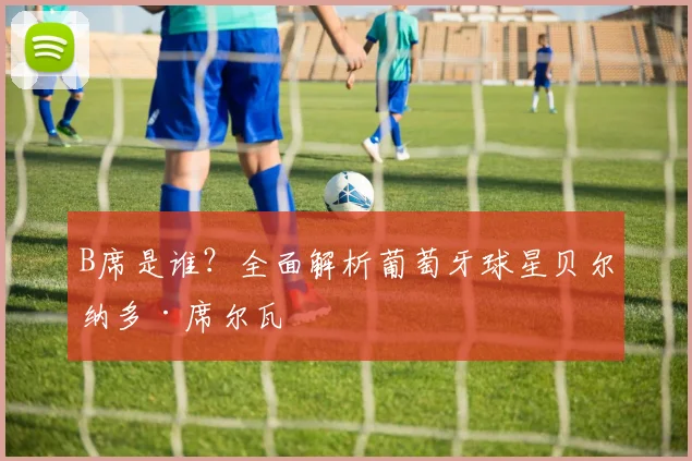B席是谁？全面解析葡萄牙球星贝尔纳多·席尔瓦