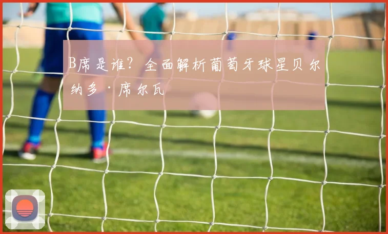 B席是谁？全面解析葡萄牙球星贝尔纳多·席尔瓦